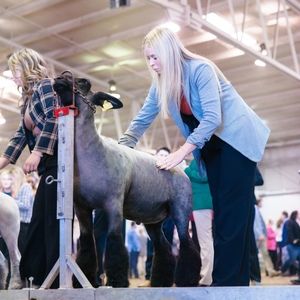 Meet your Posher, Libby